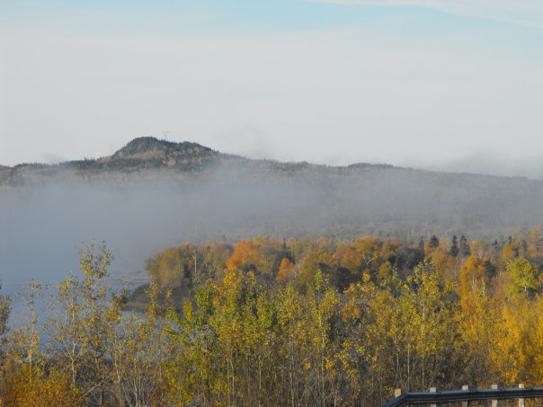 1930971_31885927431_2901_n