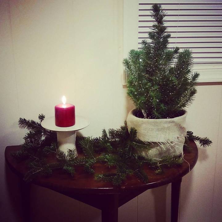 24255078_10155810573582432_3311079900819547203_o