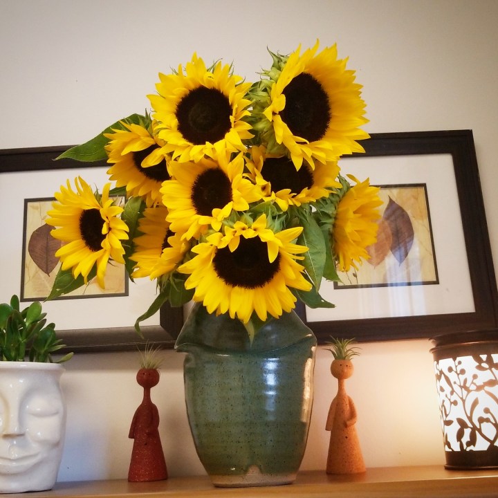 IMG_20180827_131458_552