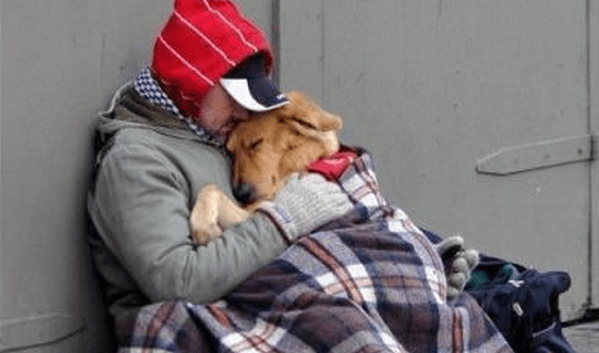 homeless-dog